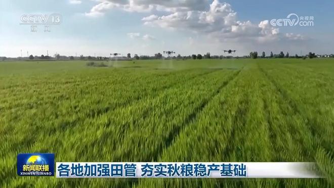 各地加强田管 夯实秋粮稳产基础